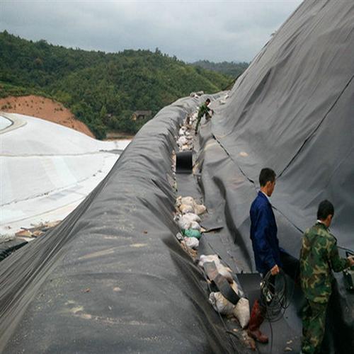 国内精品久久久久久久影视麻豆合成材料综合来讲可概括为以下六类基本功能