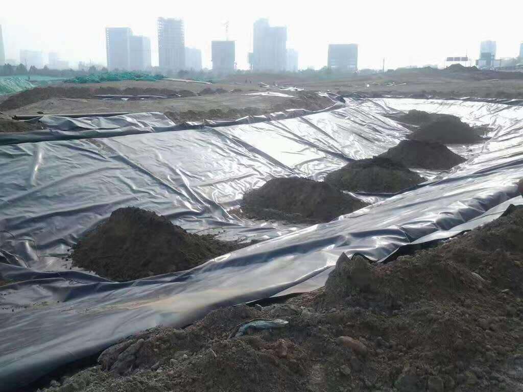 复合国内精品久久久久久久影视麻豆膜为什么不适合所有的景观工程 