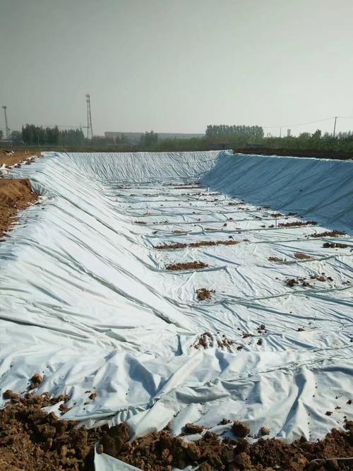 复合国内精品久久久久久久影视麻豆膜防渗的关键在于材料完整性以及铺设严密性