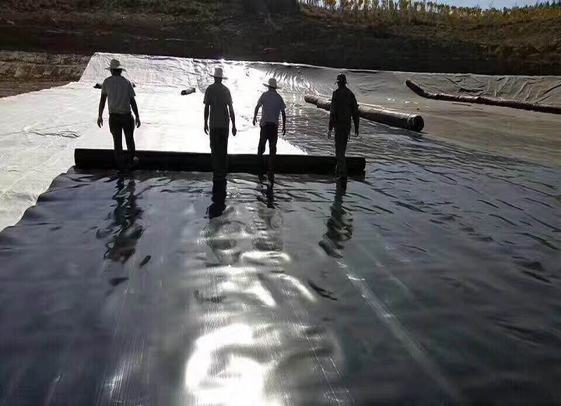 10000m³的污水池设计及HDPE国内精品久久久久久久影视麻豆膜的选用