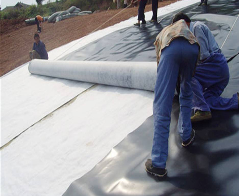 timg (14).jpg timg (14).jpg