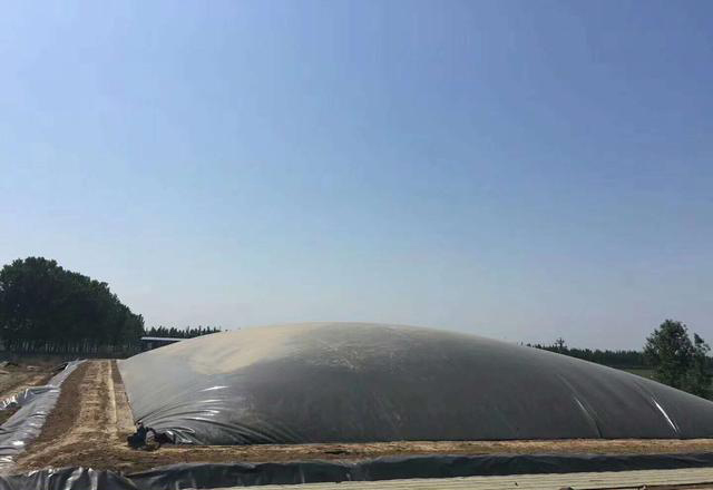 规格0.6mm国内精品久久久久久久影视麻豆膜铺设需要注意的细节问题