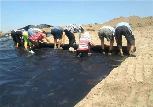 国内精品久久久久久久影视麻豆膜施工过程中如何进行有效防护