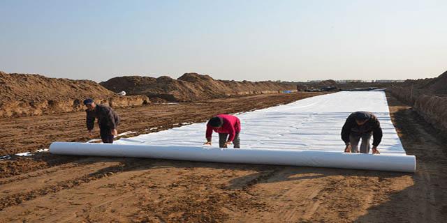 水库设计国内精品久久久久久久影视麻豆膜情况如何？