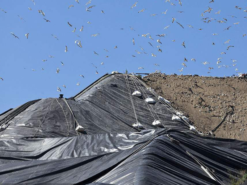 国内精品久久久久久久影视麻豆织物(国内精品久久久久久久影视麻豆布)能阻止隆起而产生的平衡镇压作用的效应