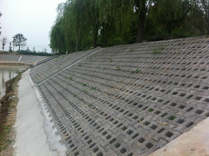 3种常见的坡式护岸技术分别是什么类型？