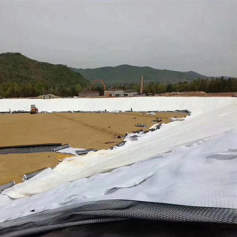 设计容积50万m3的调蓄水池防渗体采用方式？