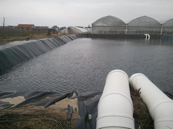 HDPE国内精品久久久久久久影视麻豆膜生产性焊接是在什么基础上进行的？