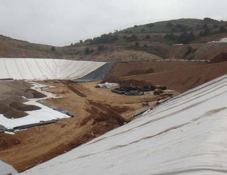 水库库区防渗工程所处的流域环境问题主要有什么？