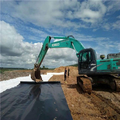 复合国内精品久久久久久久影视麻豆膜服役20年渗透系数逐年增大防渗性态依旧良好