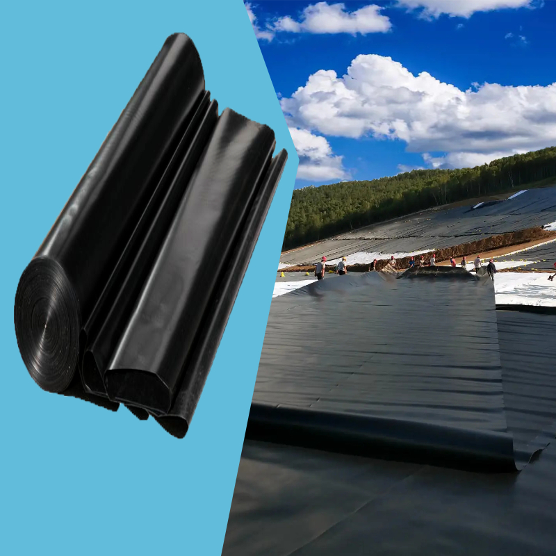 春季上新_鞋服_女装_直通车主图.jpg 春季上新_鞋服_女装_直通车主图.jpg