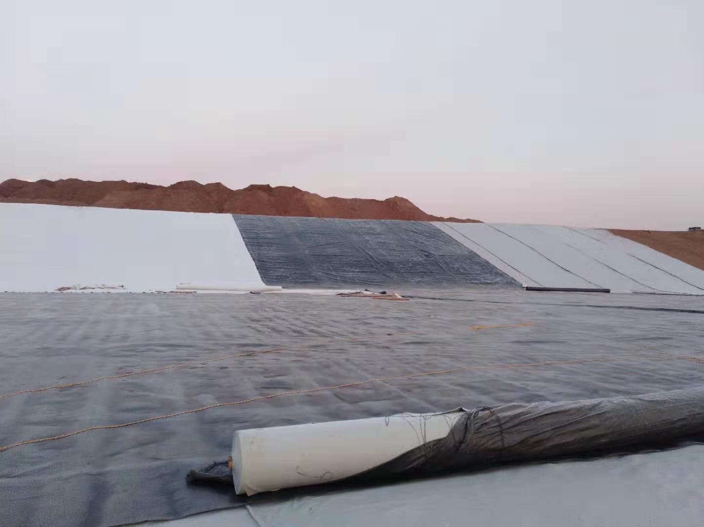 复合国内精品久久久久久久影视麻豆膜与大坝防渗墙、防浪墙、大坝两侧脚趾板锚固结构情况